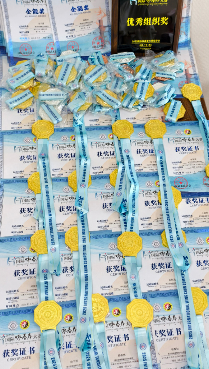 教学心得, inews, 国际咏春拳