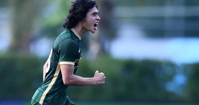 大胜红狮 大胜红狮